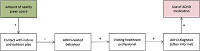 Residential green space associated with the use of attention deficit hyperactivity disorder medication among Dutch children